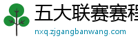 五大联赛赛程时间表2024年